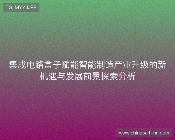 集成电路盒子赋能智能制造产业升级的新机遇与发展前景探索分析